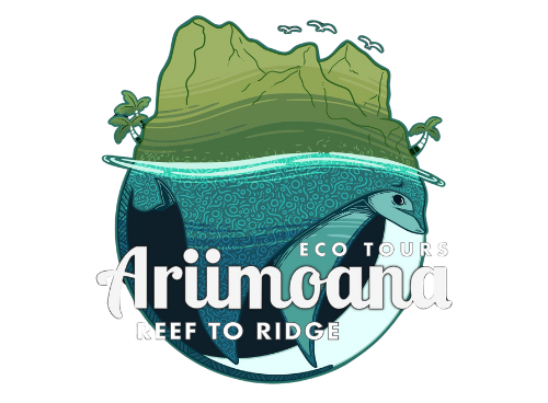 Ariimoana Walkabouts
